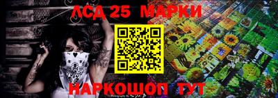 шишки Ставрополь