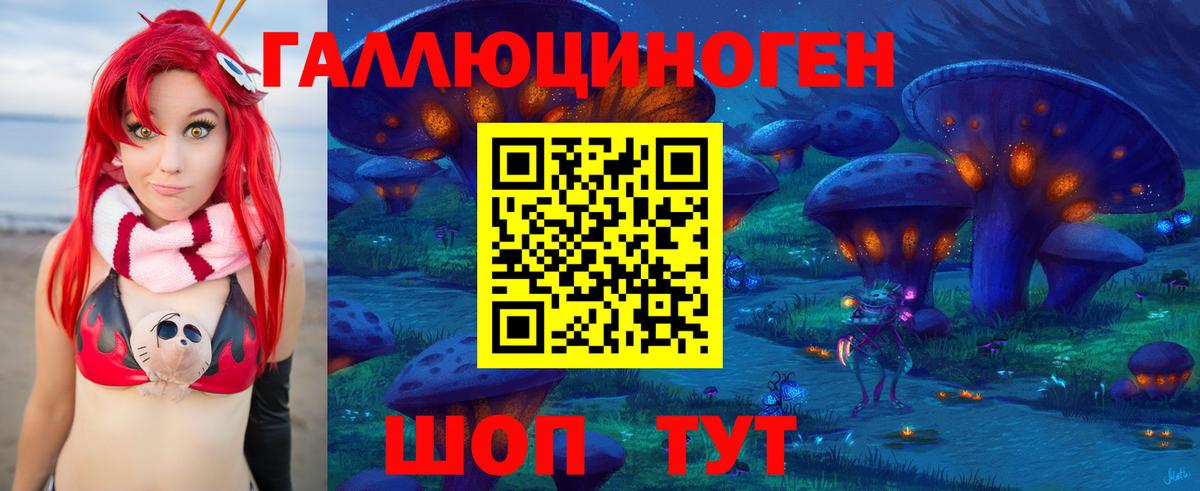 Псилоцибиновые грибы Psilocybe  Вход с VPN  Новороссийск 