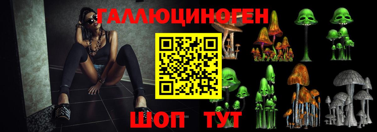 Галлюциногенные грибы Cubensis Новороссийск